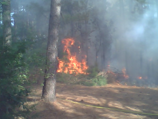 Woods Fire, Deerfield, 02/26/09